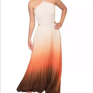 Women's Lively Ombré Pleated Dress